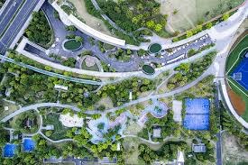 洛瑞：计划以猛龙球员身份退役 若被退役球衣可能会泪流满面